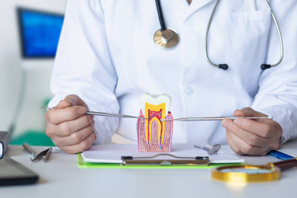 Best Emergency Tooth Extraction in Victory Gardens, NJ